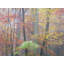 Autumn Portrait Blue Ridge Parkway #5 Print by Bruce Heinemann-65780773-65780772