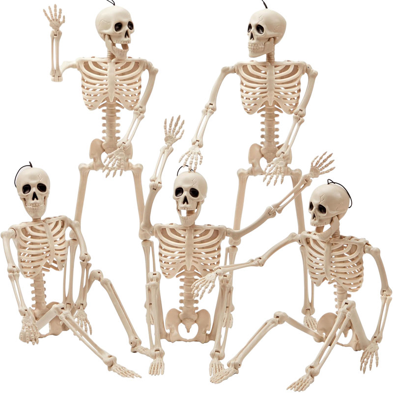 5 squelettes d'Halloween suspendus posables 5 pièces 16 po