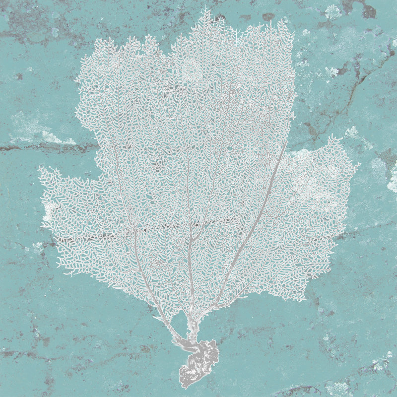 Graphic Sea Fan III - Wrapped Canvas Print, 51cm H x 51cm W