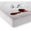 Presley Hypoallergenic Waterproof Bed Bug Resistant Fitted Mattress Protector Mattress Protector Case Pack-1047540053