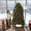 Arbre de Noël 7,5 pi-1361264033