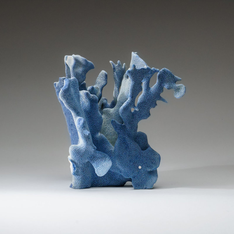 Genuine Blue Ridge Coral (8", 3 Lbs)