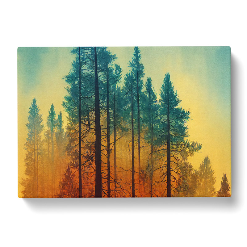 Seductive Pine Tree Forest - Wrapped Canvas, 35cm H x 50cm W x 3cm D
