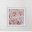 Sylvia Cook - Single Picture Frame Print-352761896