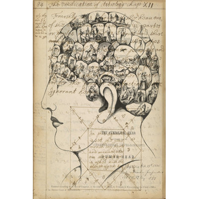 " Phrenology Bookpage " by Jennifer Goldberger