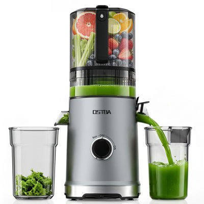 Extracteur de jus 6 pouces grande puissance 3 pouces 600W