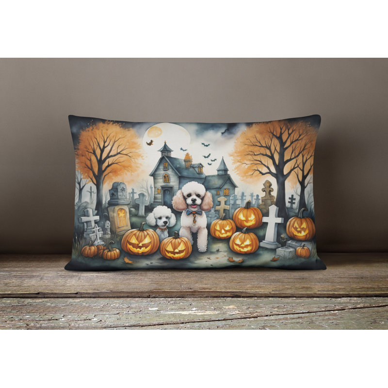 Other/No Pattern Outdoor Throw Pillow