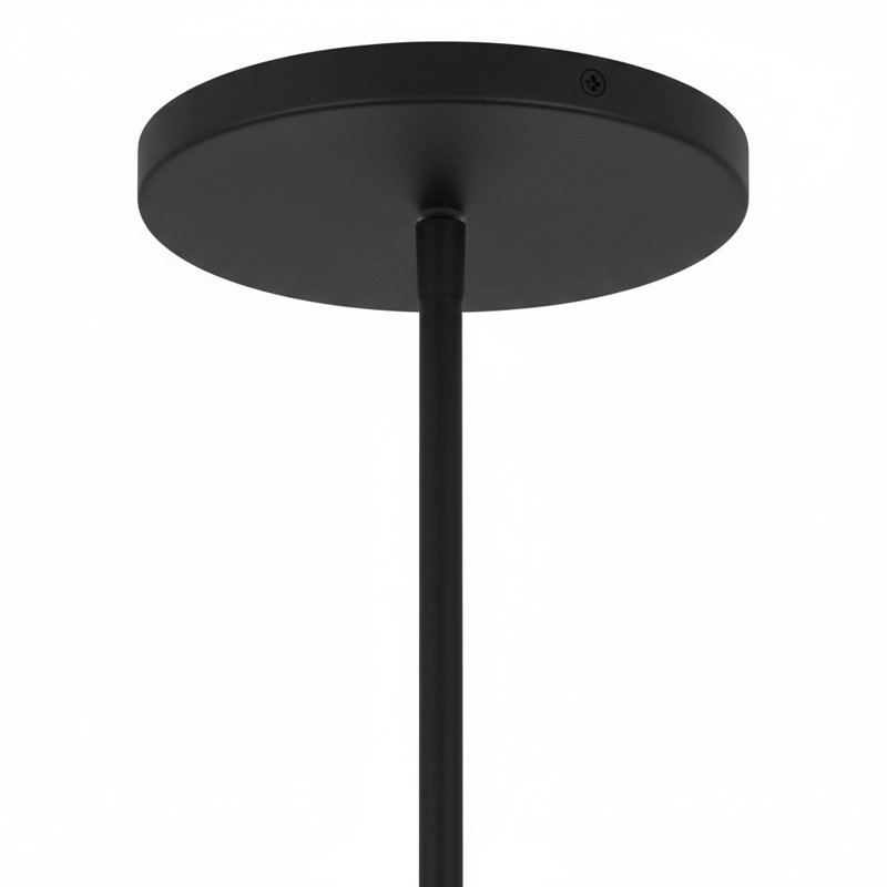 Luminaire suspendu noir à DEL 24 pouces de diamètre intégré