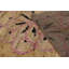 Modern One-of-a-Kind 7'10X10'2 Hand Knotted Area Rug