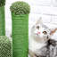 Brach Scratching Post-1297653154-1297653153