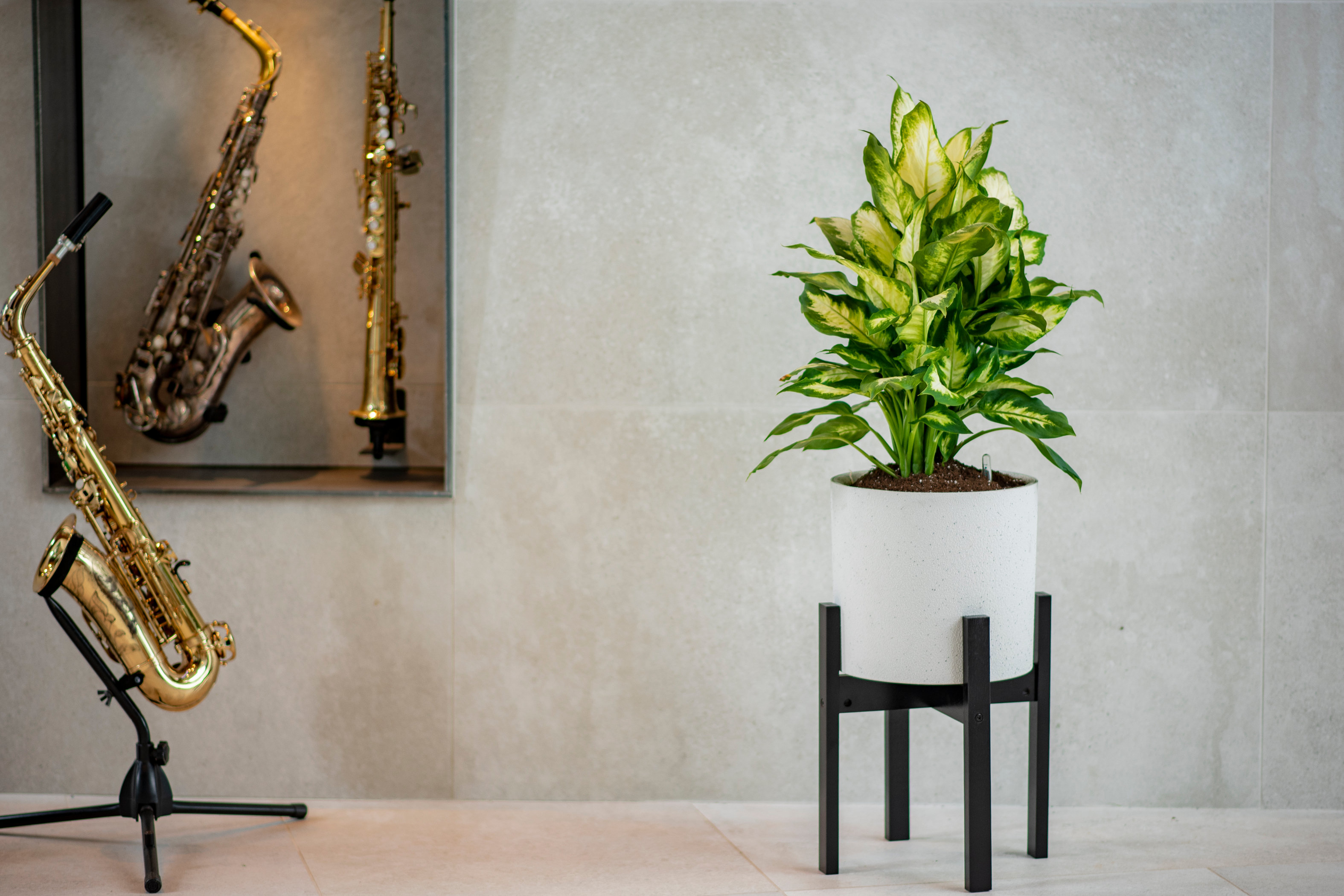 Vita Vaxa Indoor/Outdoor Self Watering Pot Planter & Reviews Wayfair