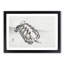 Turtle by Kono Bairei - Picture Frame Painting Print-55764911-55764910