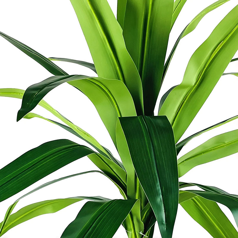 4-Foot Dracaena in Patterned Copper Planter