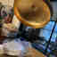 Photos des clients 1 de 2