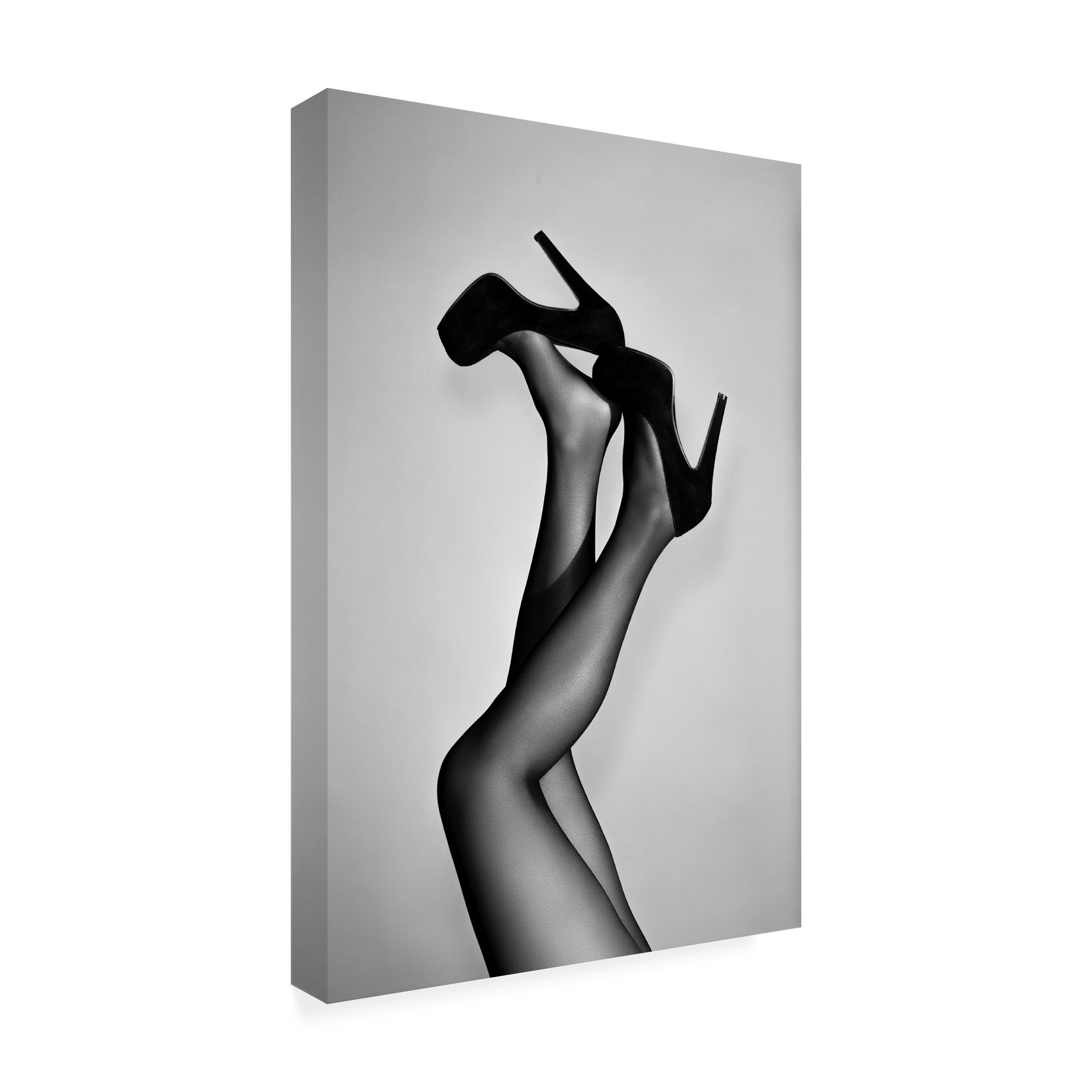 Mercer41 Velvet Pumps On Canvas by 1x Studio III Print Wayfair