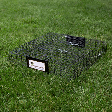 Rugged Ranch Rattr Ratinator Live Rat Squirrel Chipmunk Metal 2 Door Trap Cage