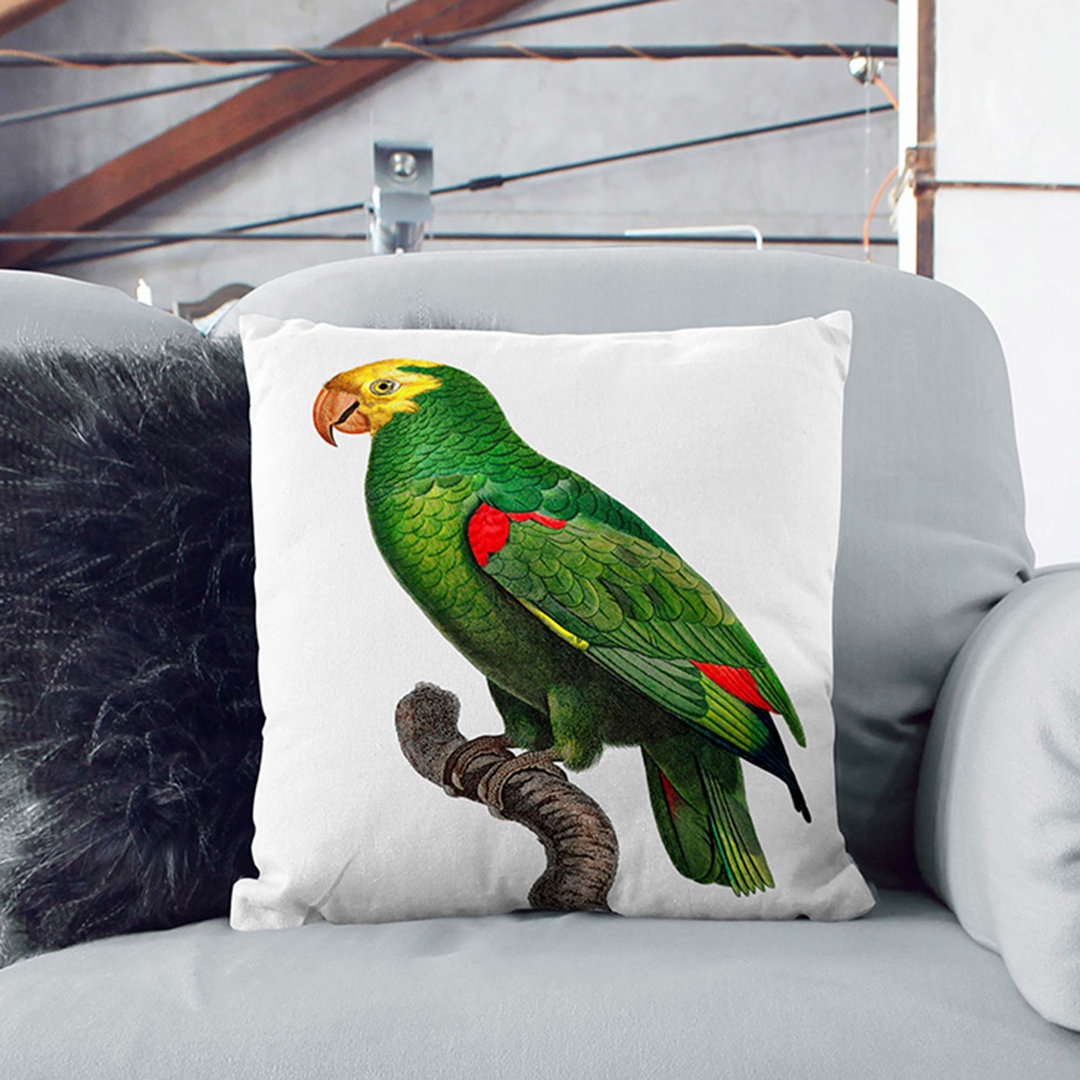 Crowned Amazon Parrot by F. Levaillant Cushion with Filling