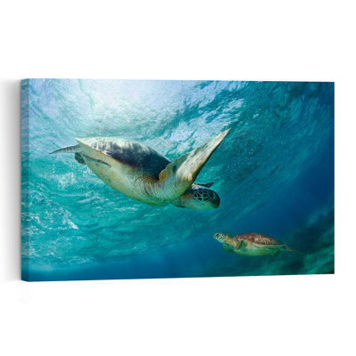 Swimming Sea Turtles Peaceful Serene Vibrant Turtle Nature Ocean Wall Art Print 1 Piece Wrapped Canvas Wall Art
