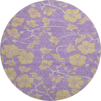 Premium Machine Washable Diskin AMF1034 Floral Rug