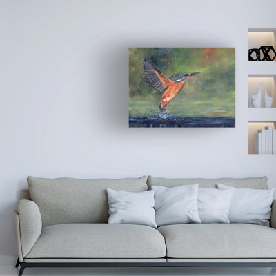 David Stribbling Kingfisher Canvas Art