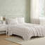 Ensemble de draps 100% coton 200 fils-117257644-117257653