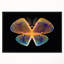 « blue yellow fractal papillon », impression sur toile foncée-26668526-35124782