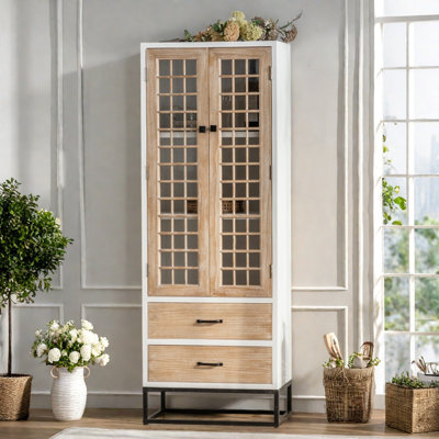 Vintage Distressed Glass Door Bookcase