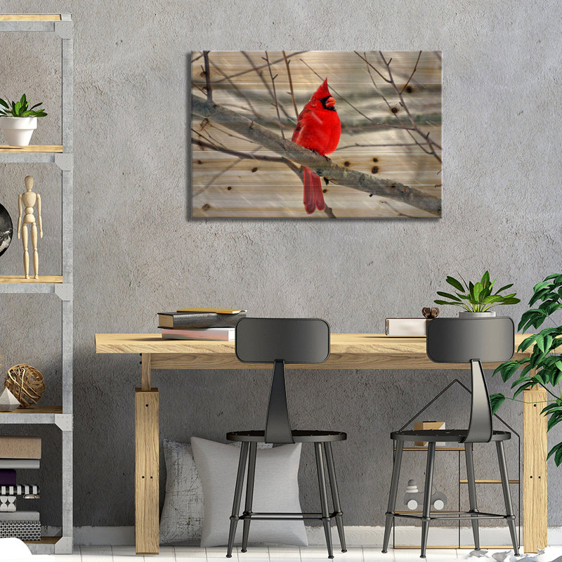 Cardinal, H 26 po x l 40 po x P 1,5 po, Bois