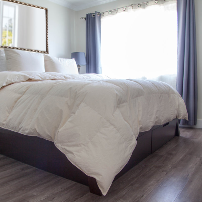 White Off White All Season Down Alternative Cotton Comforter, Queen Comforter