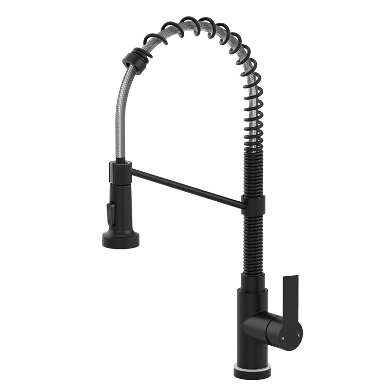 Robinet de cuisine commercial à douchette extractible avec robinet d'eau potable, bec haut de 54,6 cm (21,5 po), tête de pulvérisation