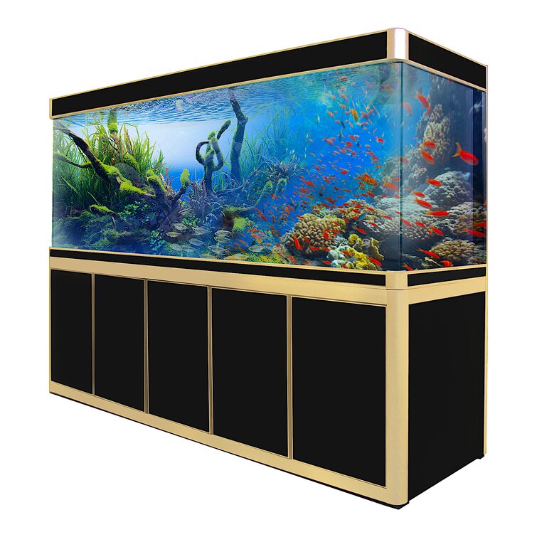 Archie & Oscar™ Faringdon 40 Gallons Gallon Wood Aquarium Stand