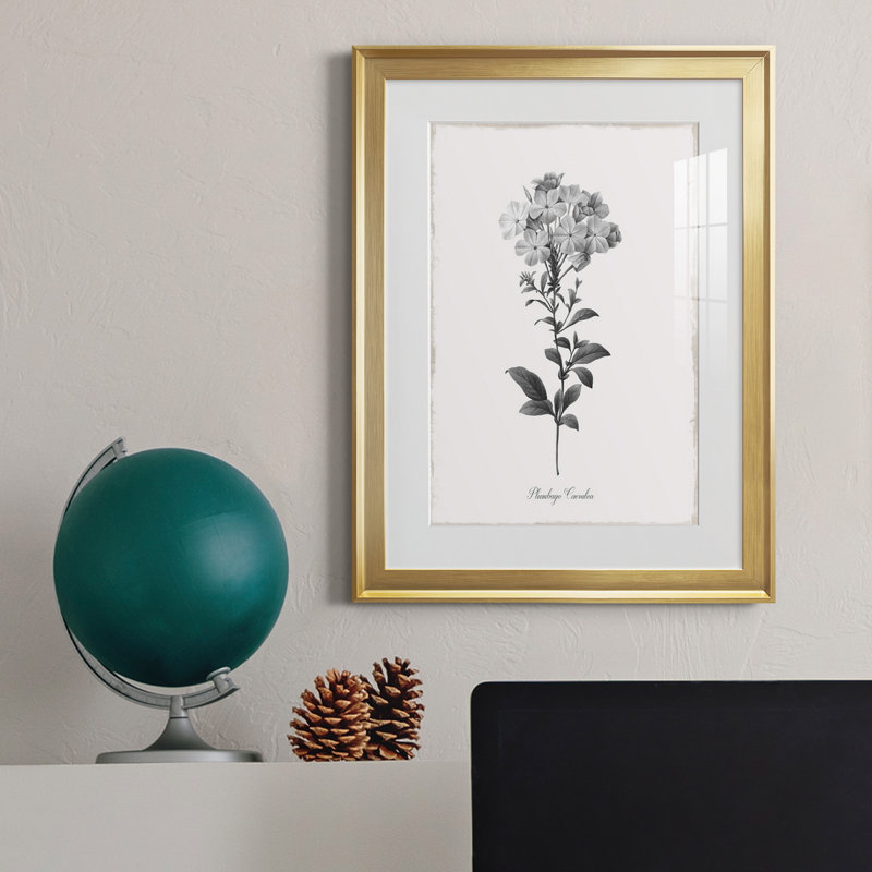 Simplement Cape Plomb - Reproduction d'art sur papier encadrée, Gold Framed Paper, H 18,5 po x l 24,5 po x P 1,5 po