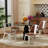 18" High Back Side Chair With Wooden Seats-1871023331
