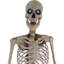 Figurine Skeletons Bones McNeely the Towering