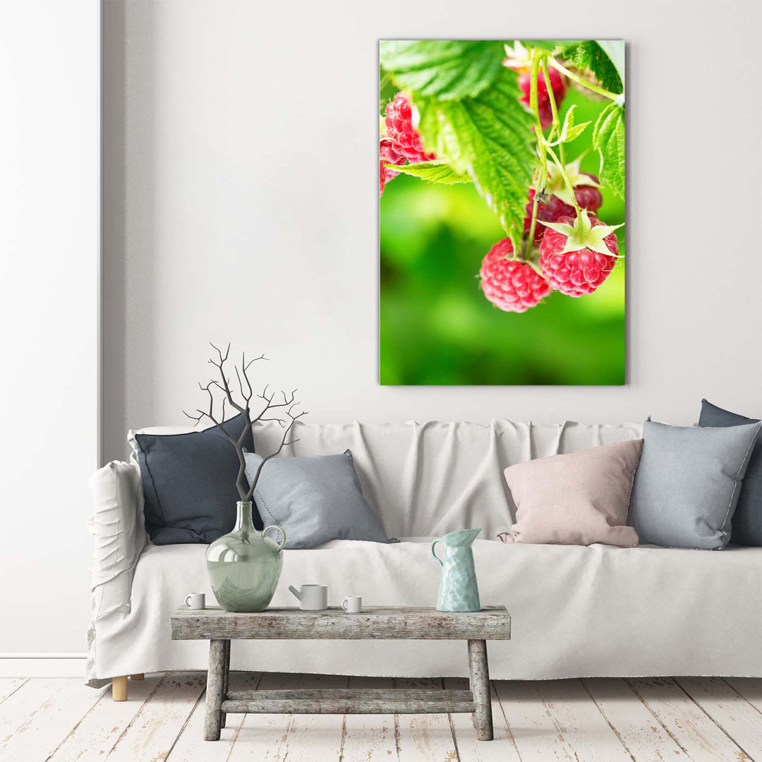 Himbeeren auf dem Busch - Kunstdrucke auf Leinwand - Wrapped Canvas