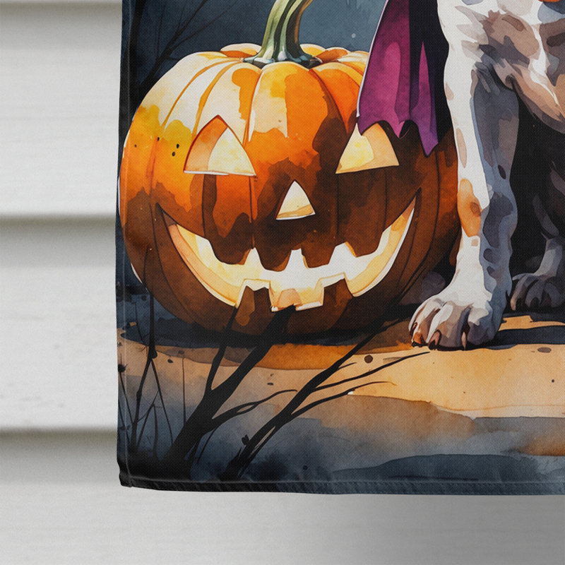 Drapeau de chiot Halloween House, Braque allemand à poil court