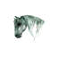 Art du cheval-49795684-49795703