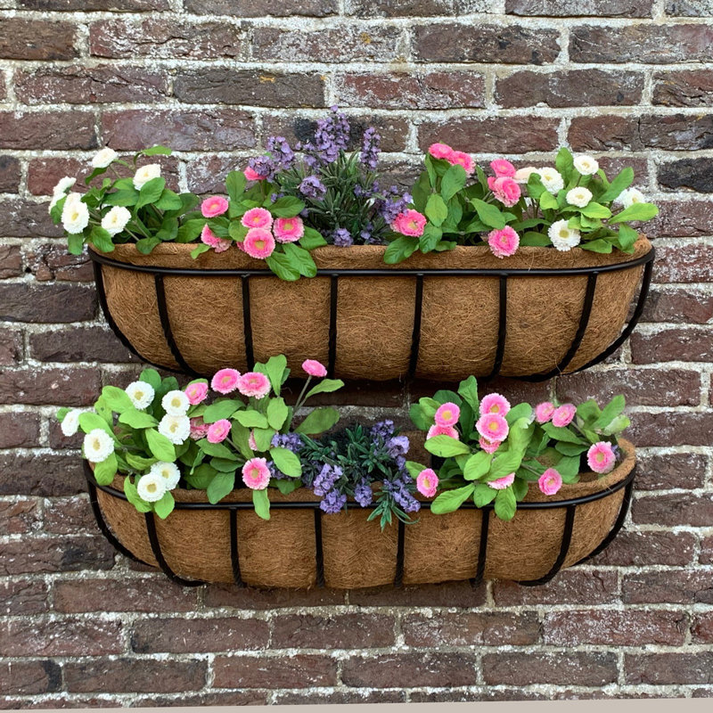 Alameen Metal Wall Planter, 20cm H x 75cm W x 20cm D