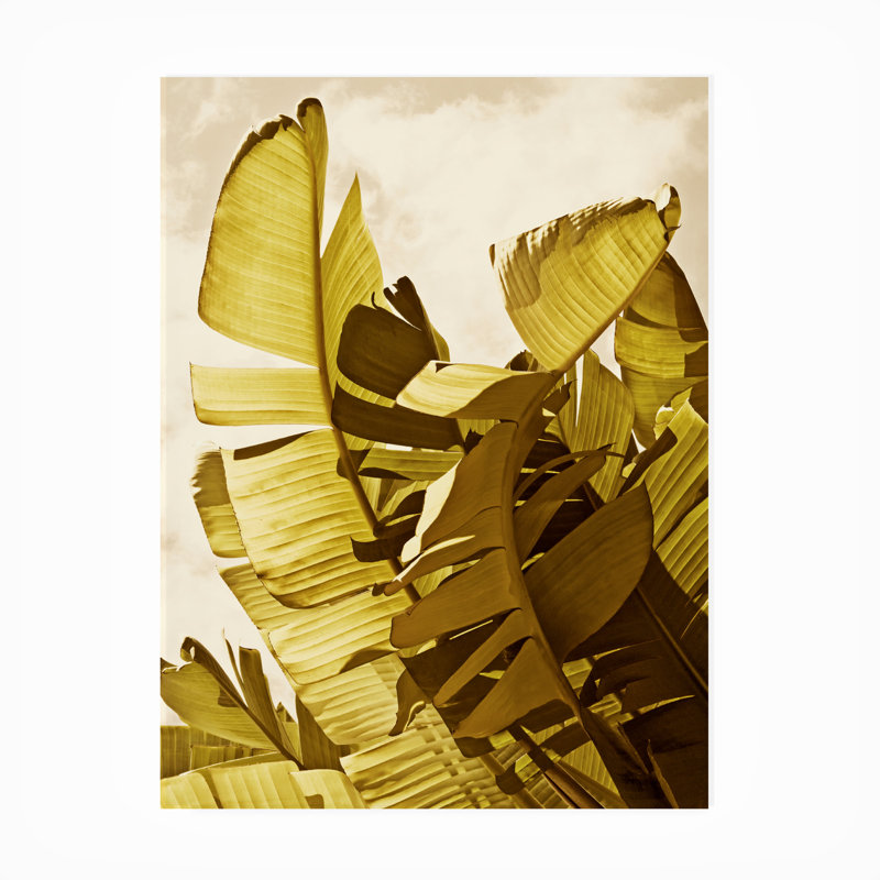 Toile d'extérieur Rachel Perry «Palm Fronds II», H 24 po x l 18 po x P 1,5 po
