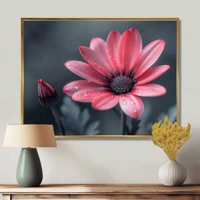 Rose, gris, souci, photo, souci, art mural, salon