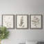 Neutral Botanical Study IV - Ensemble de 3 peintures sur toile encadrées-95259188-95259186