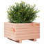 Bhavika Planter Box-1814111163-1814111149