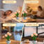 Lampe de tulipe à DEL, réplique de lampe de table à fleurs avec vase (usb-powe) - Pour la maison / le salon / le décor de bureau, appui long sur la luminosité réglable (effet respirant)