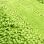 Tapis de bain lavable à la machine antidérapant Laverne-395751707-395751789