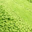 Tapis de bain lavable à la machine antidérapant Laverne-395751786-395751709