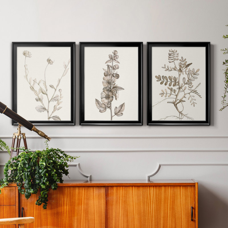 Neutral Botanical Study IV - Ensemble de 3 impressions sur toile encadrées, Toile avec cadre noir