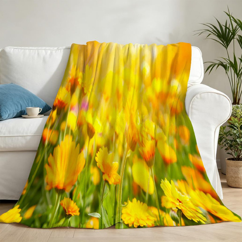 Jeté en molleton transparent ultra doux, imprimé flou simple, Throw 50" x 60"