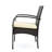 [Set Of 2] CORDOBA KD PE WICKER DINING CHAIR-1655126889