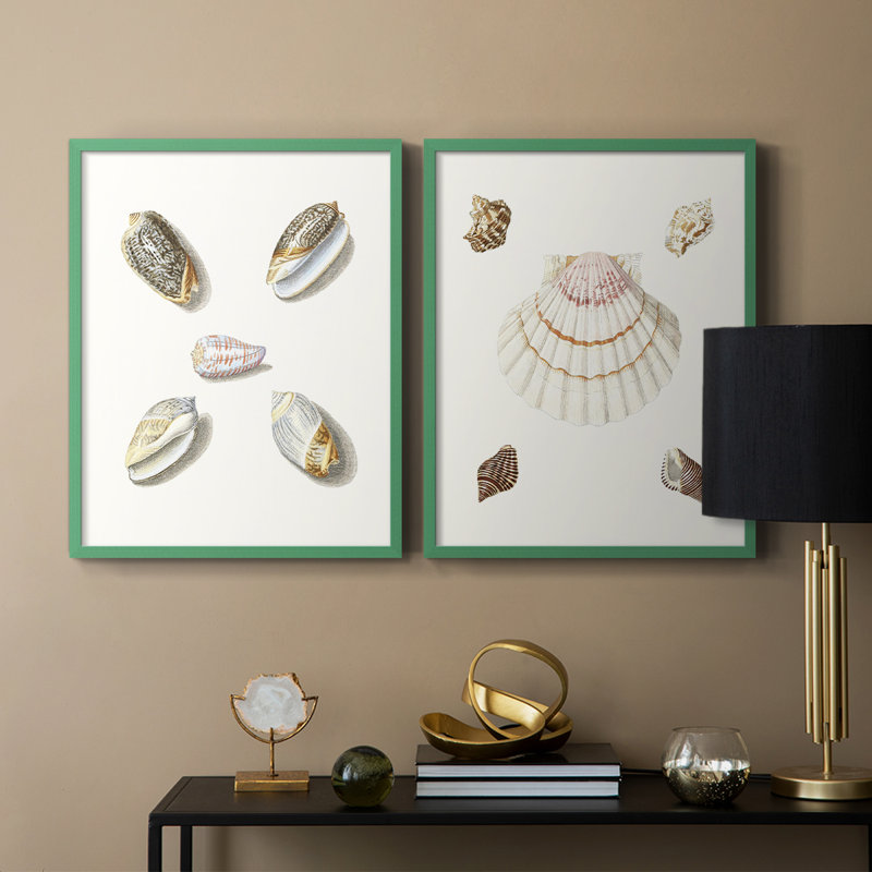 Pastel Knorr Shells III - reproduction encadrée de qualité supérieure - prête à être accrochée - aucun clou requis - aucun clou requis