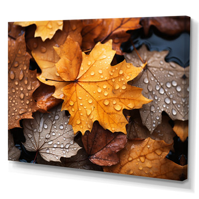 Yellow And Orange Autumn Mapple Leaves 4 - Tree Maple Wall Art